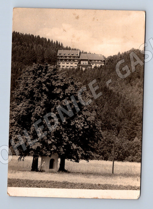 Pohlednice Frenštát pod Radhoštěm Hotel Vlčina 1940 (M21837)