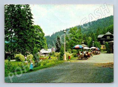 Pohlednice Janské Lázně park s kavárnou (M21865)