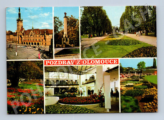 Pohlednice Olomouc radnice, památník, Flora 1970 (M21900)
