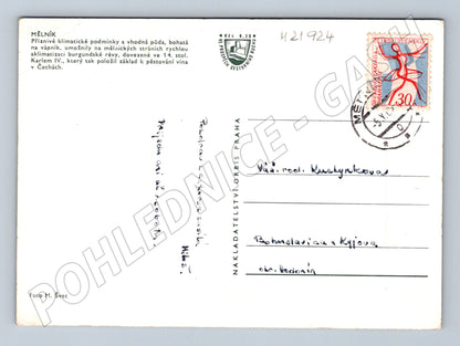 Pohlednice Mělník hrad a vinice (M21924)