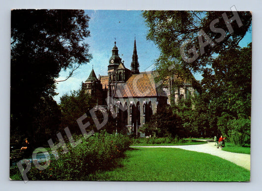 Pohlednice Slovensko Košice dóm svaté Alžběty 1957 (M22090)