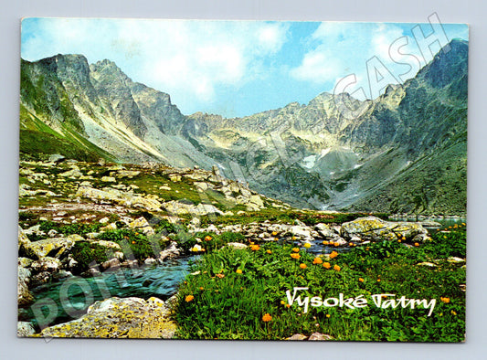 Pohlednice Slovensko Vysoké Tatry Mengusovská dolina (M22097)