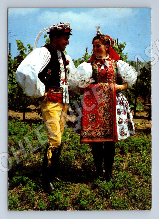 Pohlednice Slovácko Vracov kroje Pressfoto (M22118)