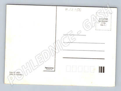 Pohlednice houby v lese (M22150)