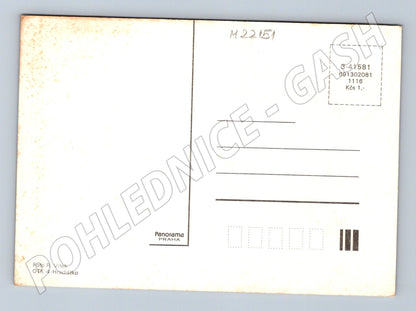 Pohlednice houby les (M22151)