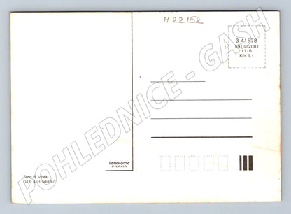 Pohlednice hřib s vřesem (M22152)