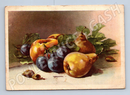 Pohlednice zátiší s ovocem 1951 (M22181)