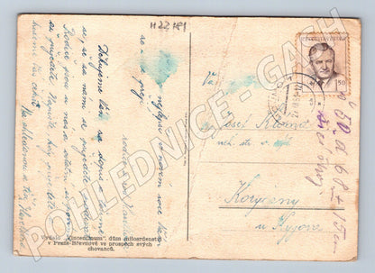 Pohlednice zátiší s ovocem 1951 (M22181)
