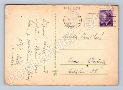 Pohlednice Německo jehličí šiška bobule 1943 (M22239)
