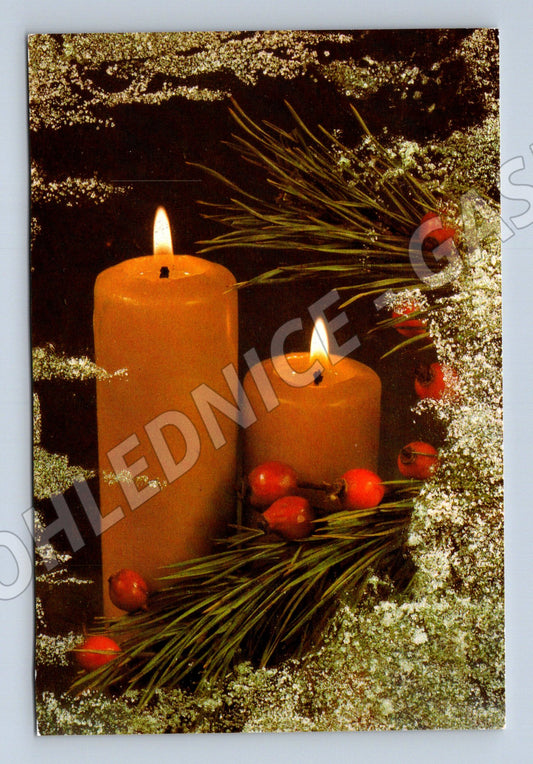 Pohlednice Německo Vánoční svíčky a jehličí (M22276)