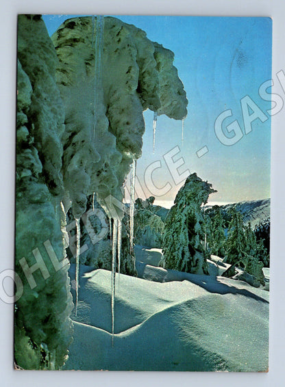 Pohlednice zimní horská krajina 1979 (M22296)