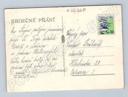 Pohlednice Kytice sedmikrásek (M22328)