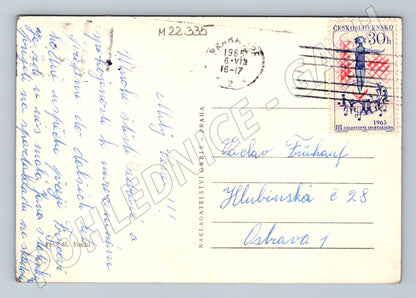 Pohlednice SRDEČNÉ PŘÁNÍ tulipány 1965 (M22335)