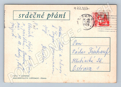 Pohlednice Hvozdíky červený a bílý 1970 (M22337)