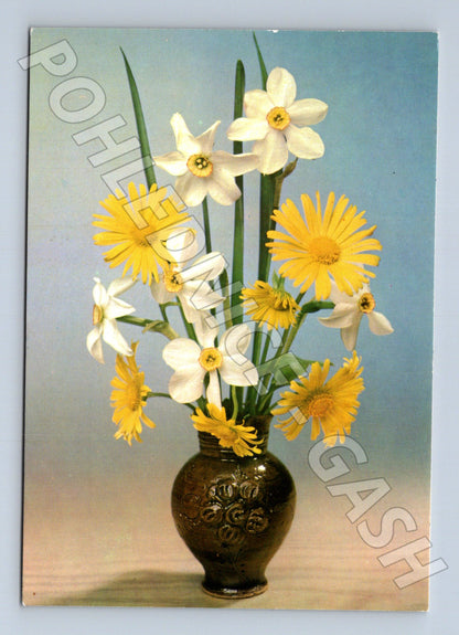 Pohlednice květiny narcisy a kamzičníky (M22339)