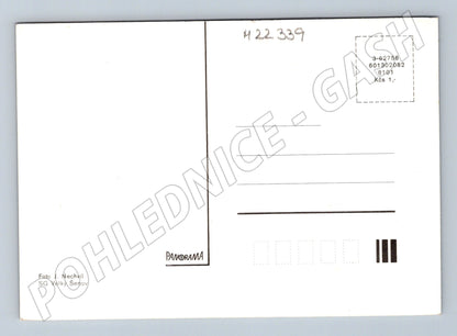 Pohlednice květiny narcisy a kamzičníky (M22339)
