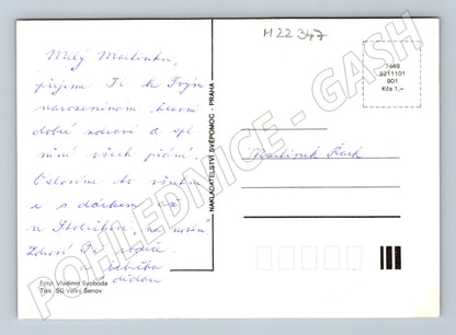 Pohlednice kytice lučních květin ve váze (M22347)