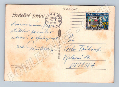 Pohlednice žluté růže 1973 (M22348)
