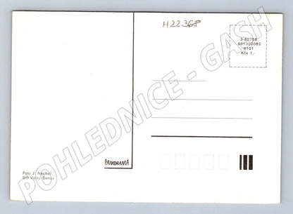 Pohlednice kytice jarních květin ve váze (M22368)