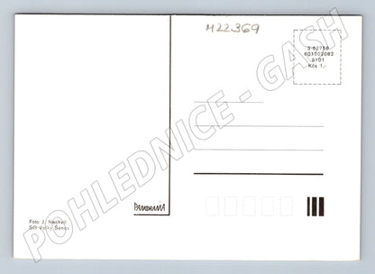 Pohlednice Kytice narcisů a pampelišek ve váze (M22369)