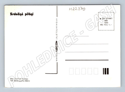 Pohlednice Slunečnice 1950 (M22370)