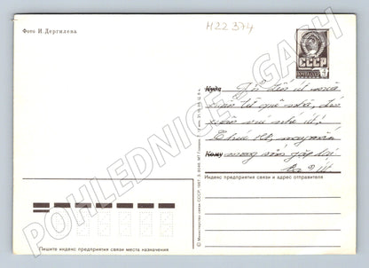 Pohlednice SSSR kytice růží 1987 (M22374)