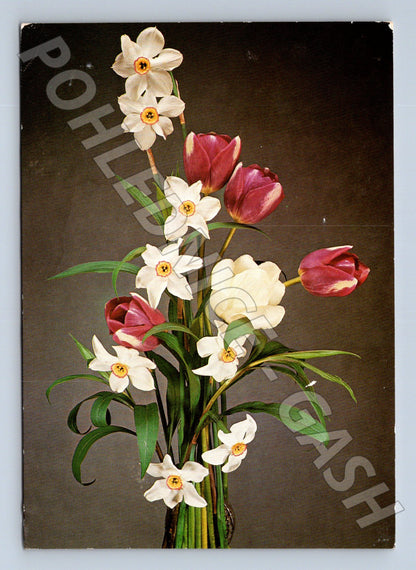Pohlednice Květiny tulipány narcisy 1993 (M22378)