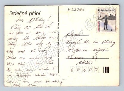 Pohlednice Růže květiny 1965 (M22380)