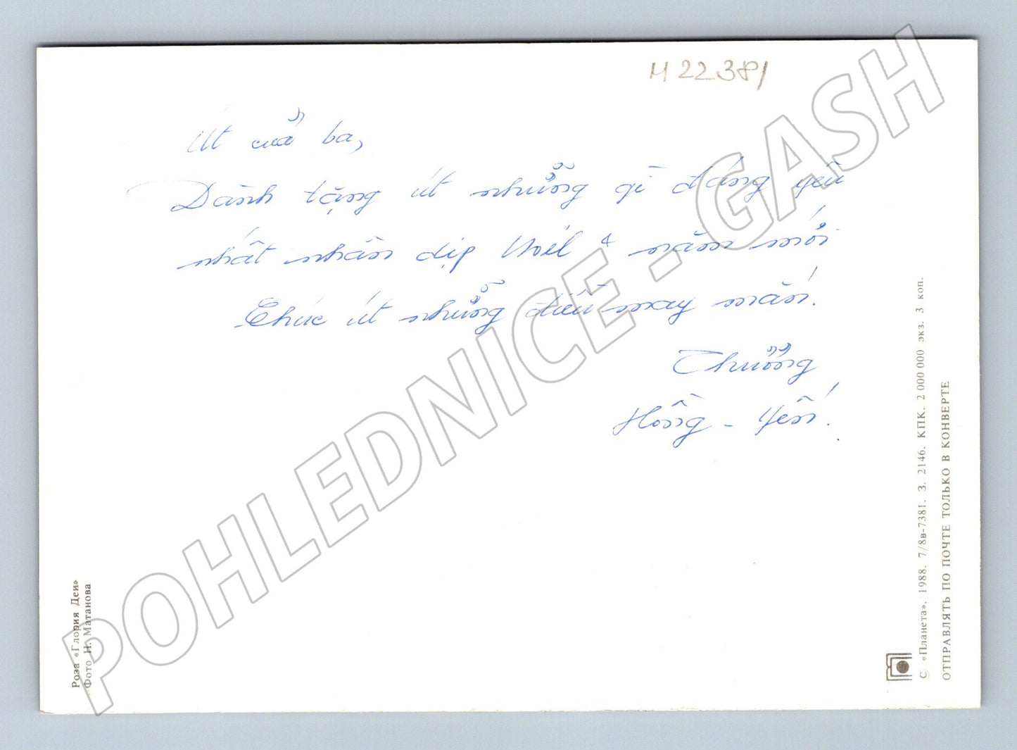 Pohlednice Rusko a SSSR žlutá růže 1988 (M22381)