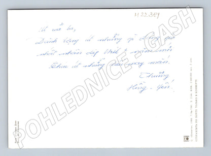 Pohlednice Rusko a SSSR žlutá růže 1988 (M22381)