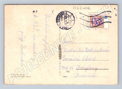 Pohlednice dvě žluté lilie 1969 (M22402)