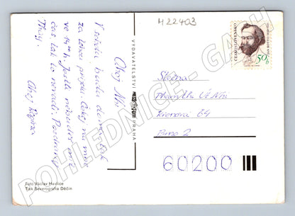 Pohlednice žlutá růže s razítkem Brno (M22403)