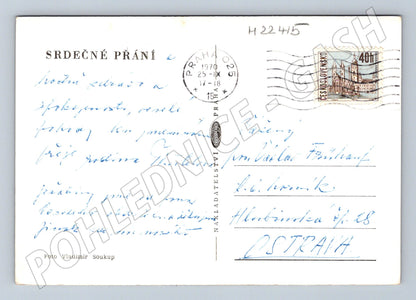 Pohlednice still life růže 1970 (M22415)