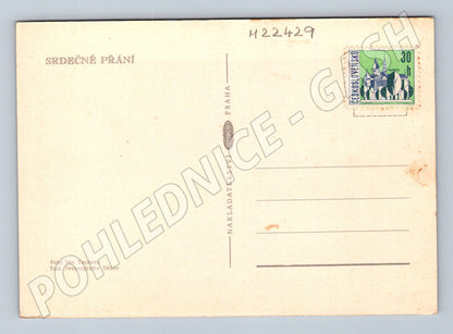 Pohlednice kytice v košíku (M22429)