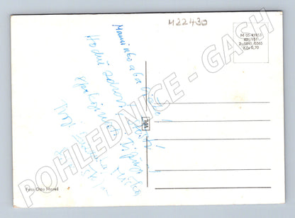 Pohlednice Kytice narcisů Blahoželanie k MDŽ (M22430)