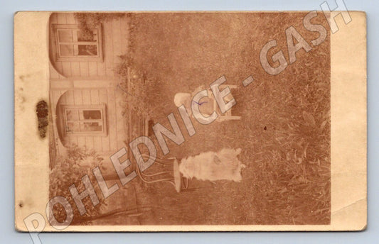 Pohlednice dítě se psem na zahradě sepia 1900 (M2259)