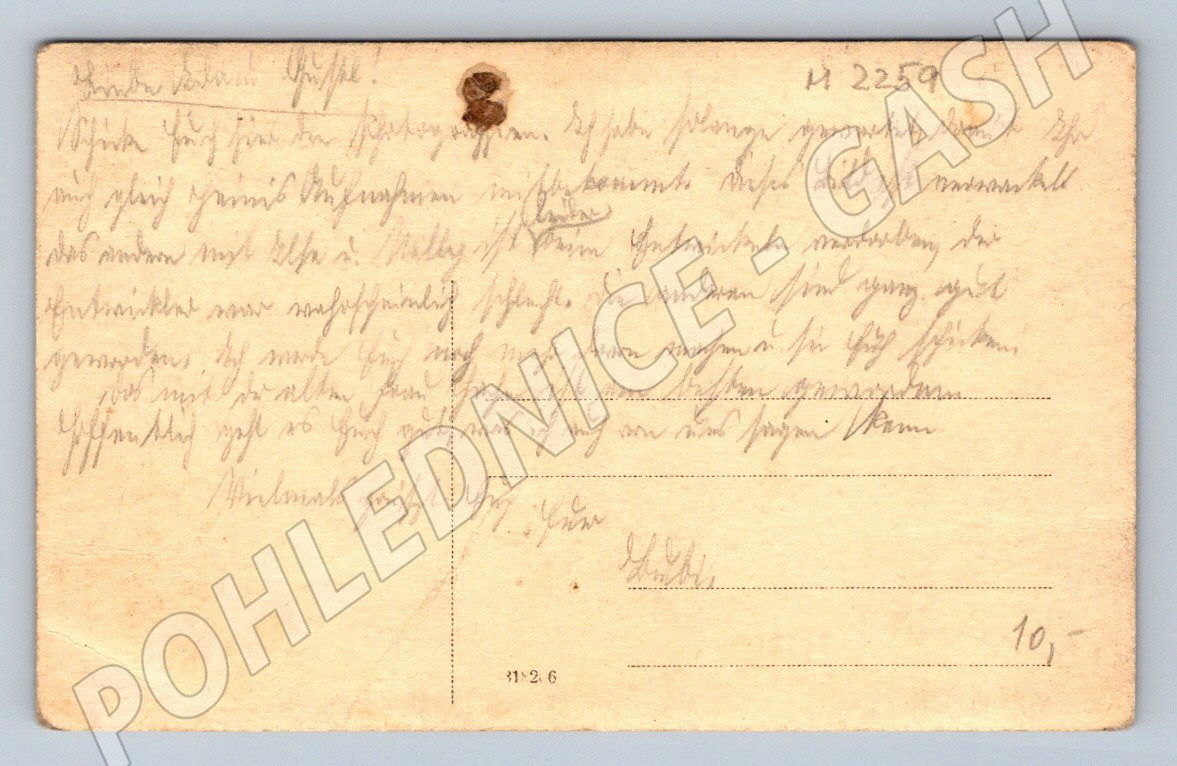 Pohlednice dítě se psem na zahradě sepia 1900 (M2259)