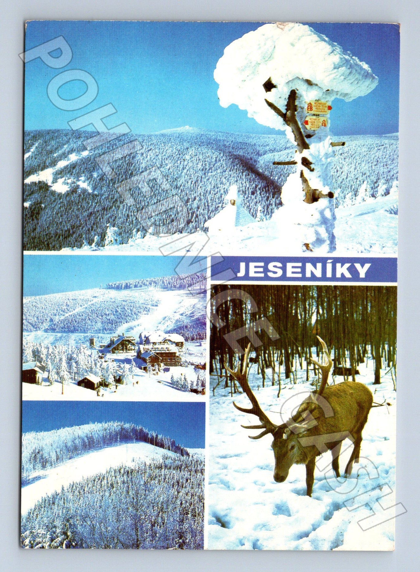Pohlednice Jeseníky zimní motivy 1974 (M22607)