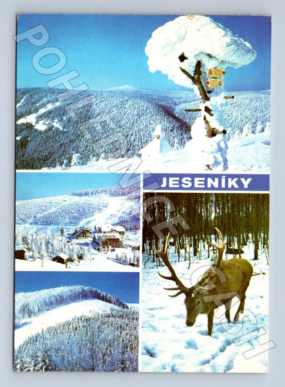 Pohlednice Jeseníky zimní motivy 1974 (M22607)
