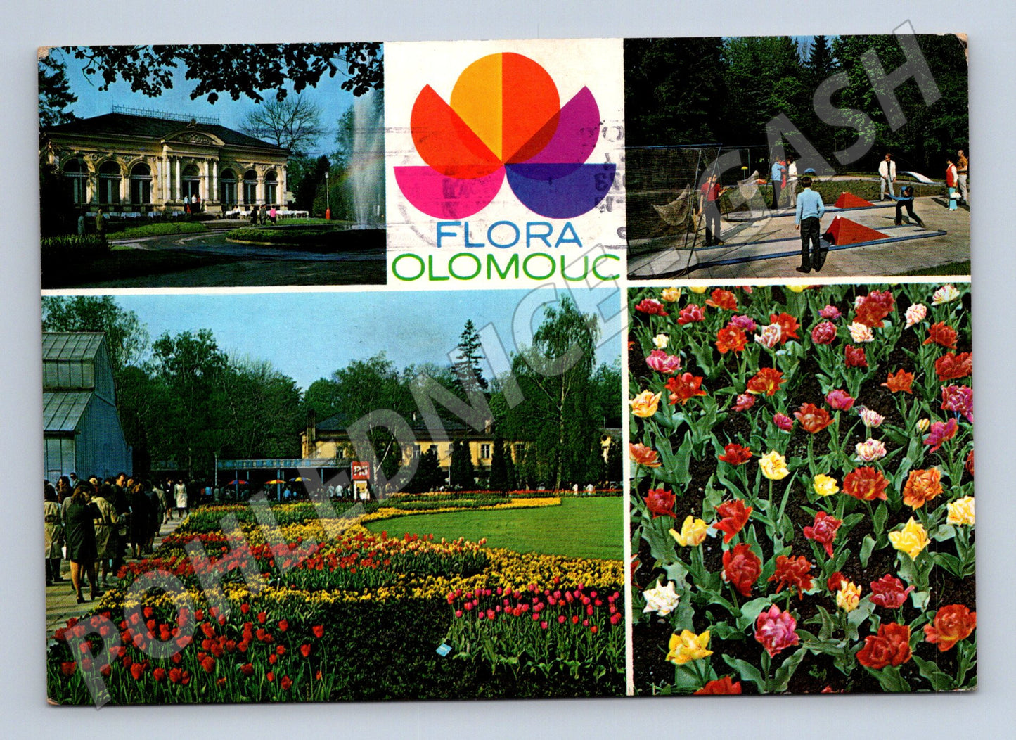 Pohlednice Olomouc Flora Olomouc 1973 (M22686)