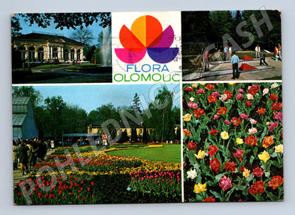 Pohlednice Olomouc Flora Olomouc 1973 (M22686)