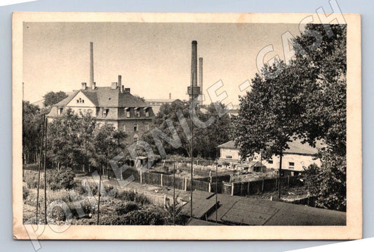 Pohlednice Dolní Rychnov továrna 1949 (M2271)