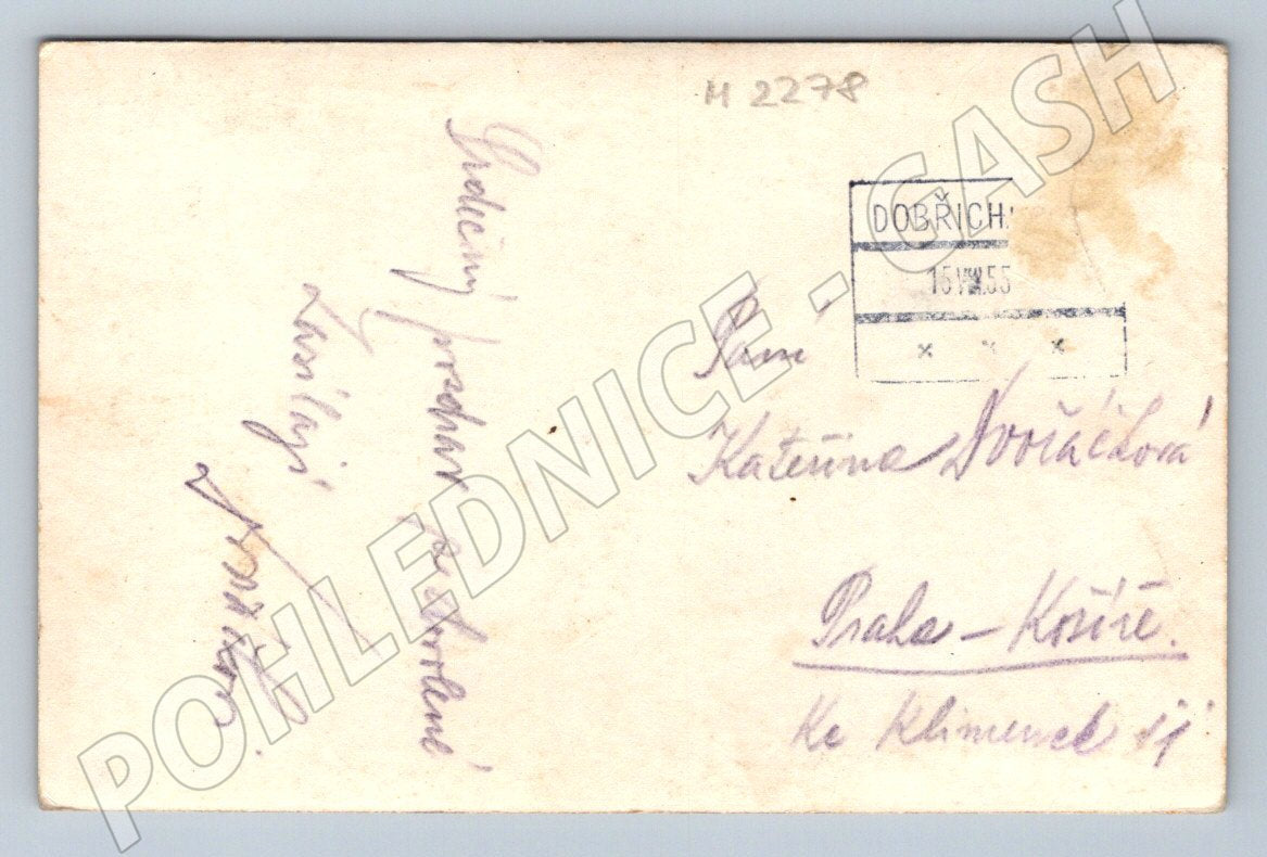 Pohlednice Dobřichovice zámek u řeky raz 1955 (M2278)