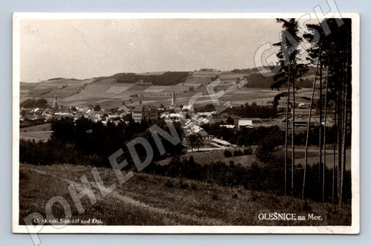 Pohlednice Olešnice na Moravě ČB 1941 (M2282)