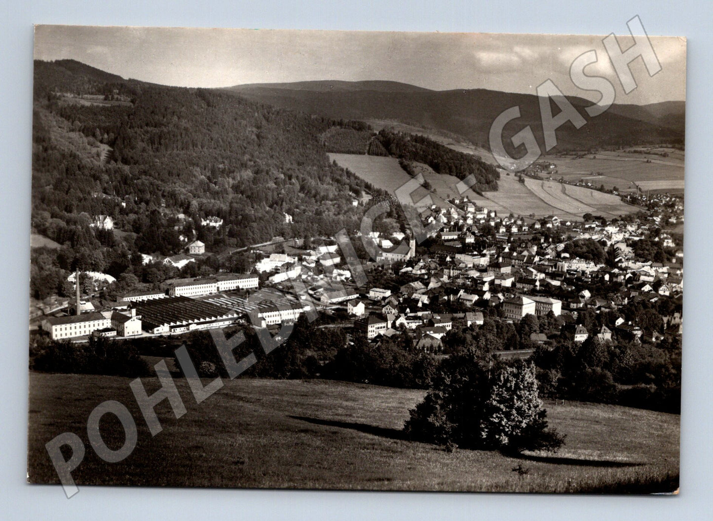 Pohlednice Jeseník panorama města a údolí 195x (M22888)