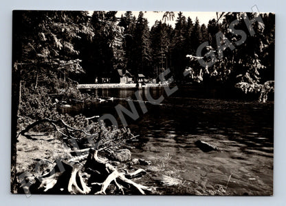 Pohlednice Šumava Černé jezero 1957 (M22890)