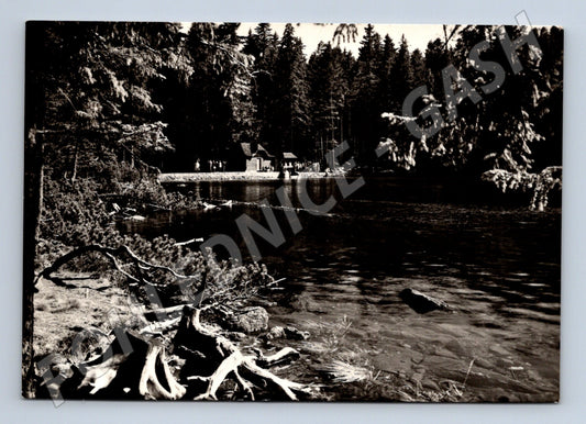 Pohlednice Šumava Černé jezero 1957 (M22890)