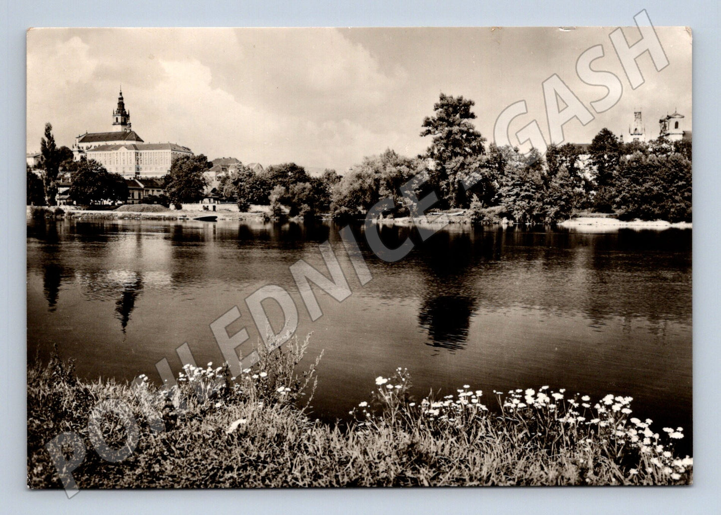 Pohlednice Litoměřice labské panorama (M22917)