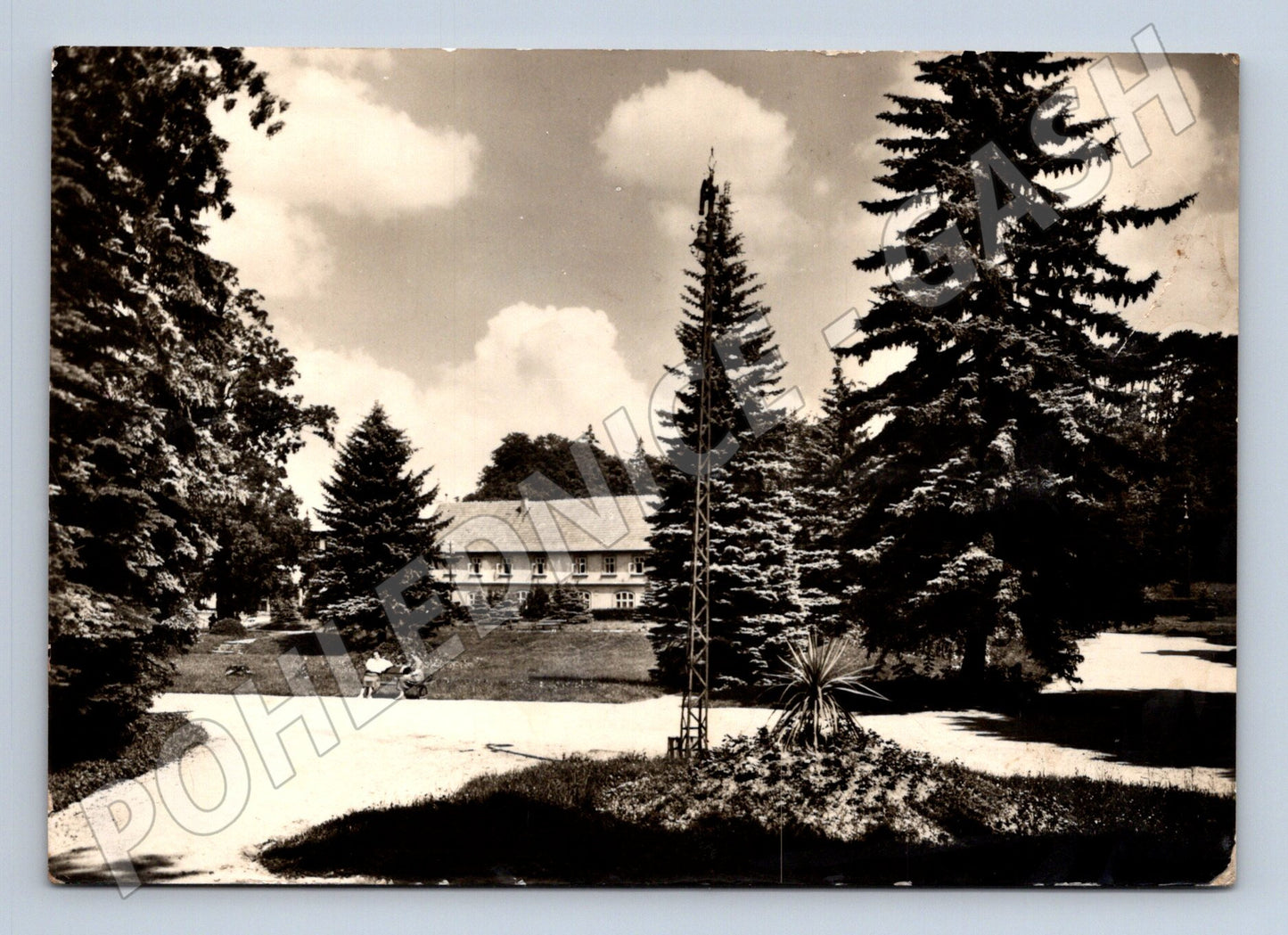 Pohlednice Mšené lázně lázeňský park 1955 (M22925)
