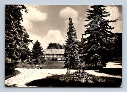 Pohlednice Mšené lázně lázeňský park 1955 (M22925)